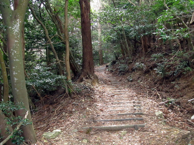 t13_039.jpg