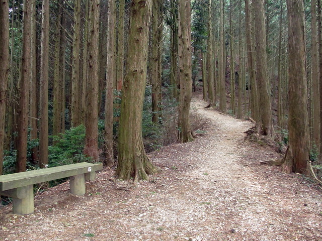 t13_043.jpg