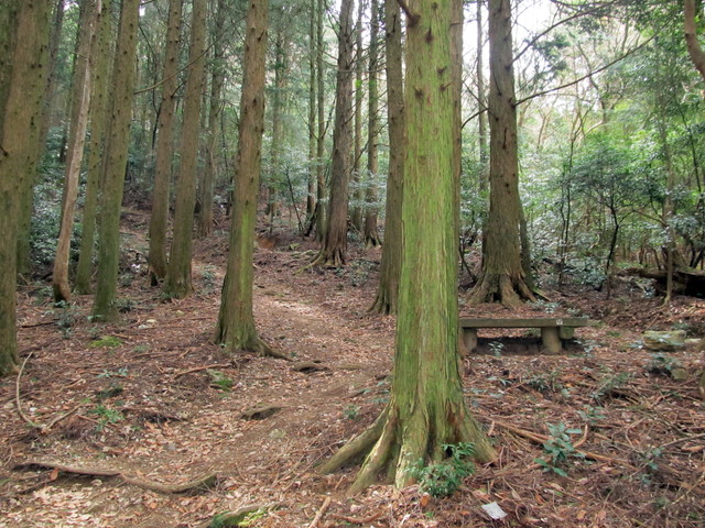 t13_046.jpg