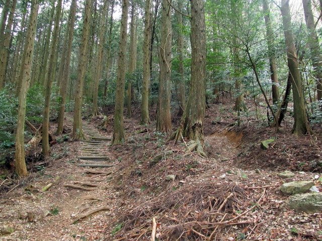 t13_047.jpg