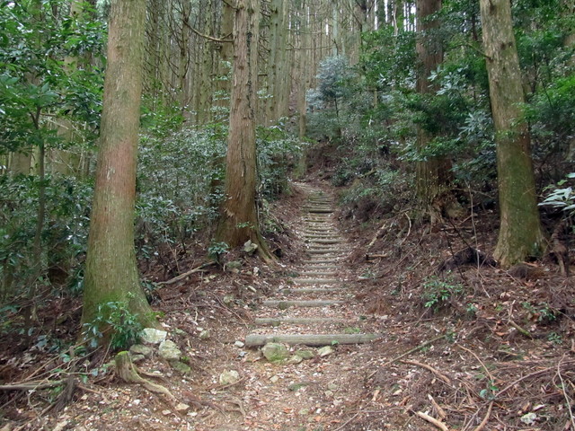 t13_048.jpg