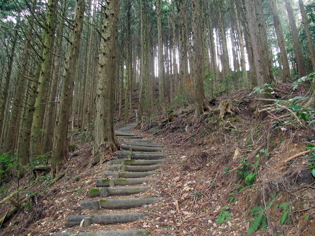 t13_050.jpg