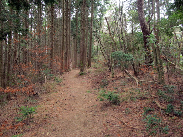 t13_055.jpg