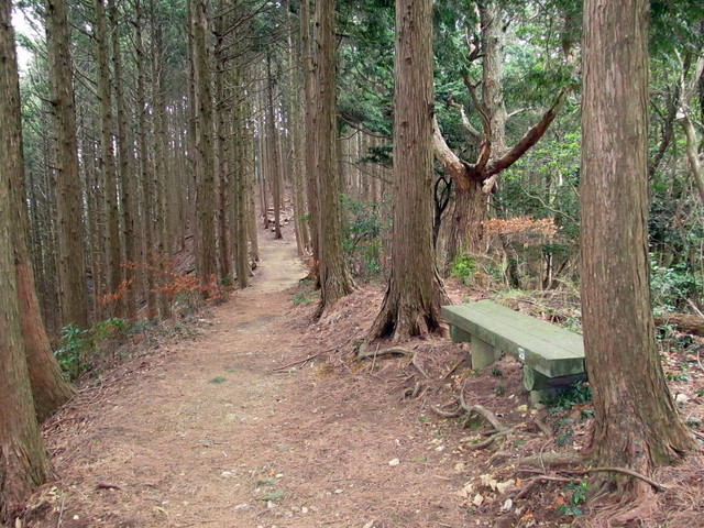 t13_056.jpg