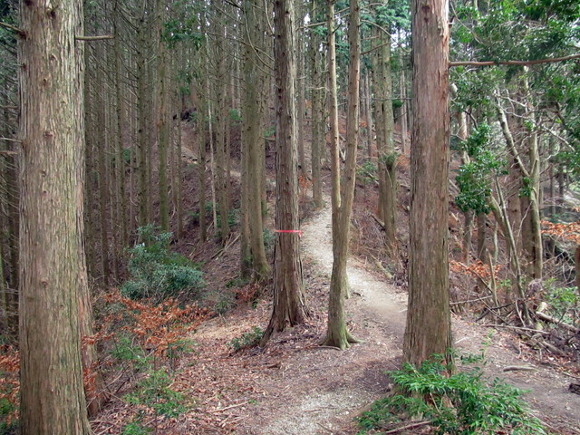 t13_058.jpg