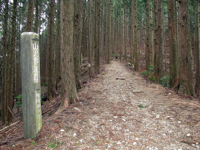 t13_059.jpg