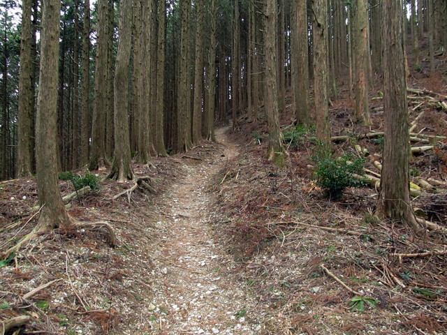 t13_060.jpg