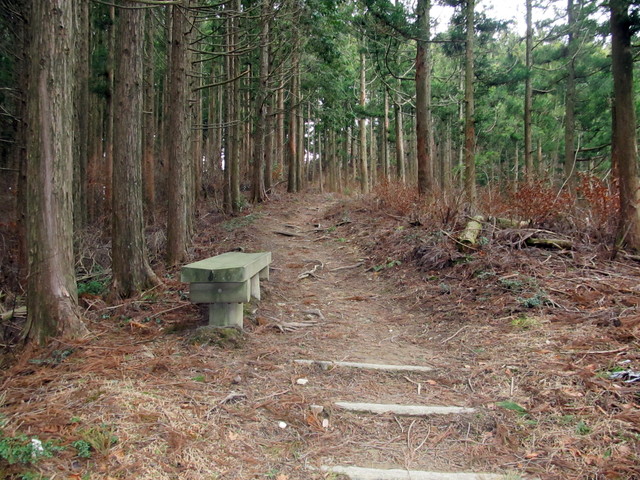 t13_063.jpg