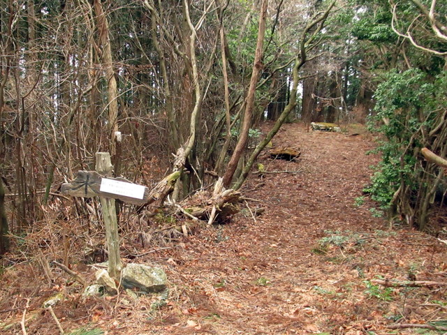 t13_064.jpg