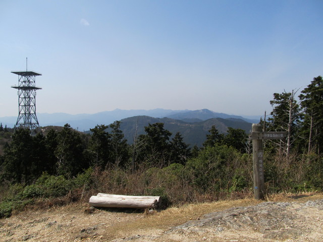 t13_073.jpg