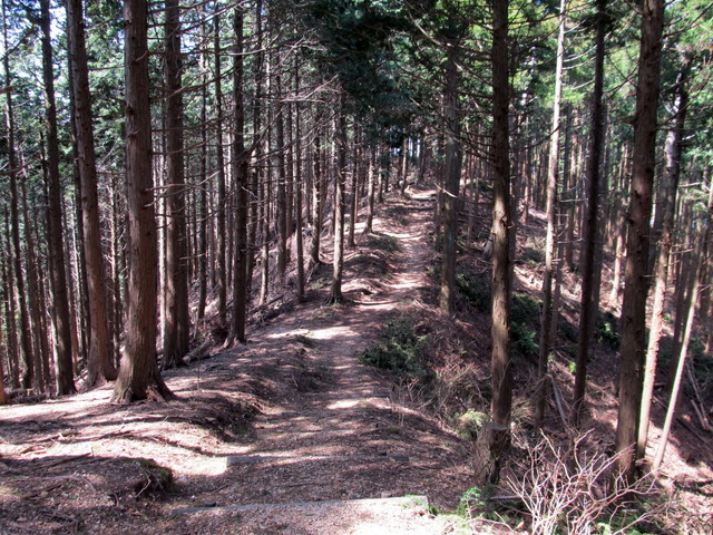 t13_078.jpg