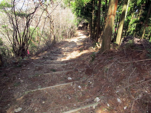 t13_082.jpg