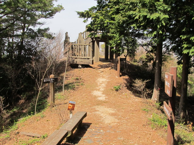 t13_083.jpg