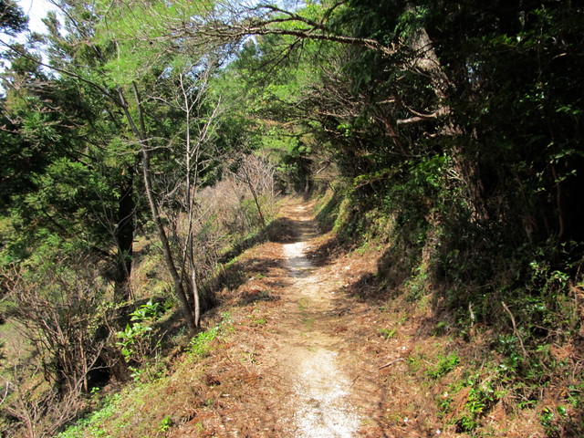 t13_087.jpg