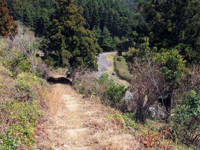 t13_090.jpg