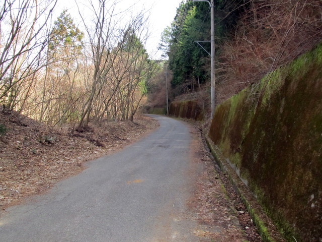 t13_096.jpg