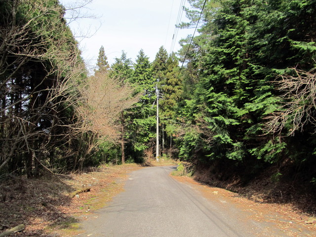 t13_097.jpg