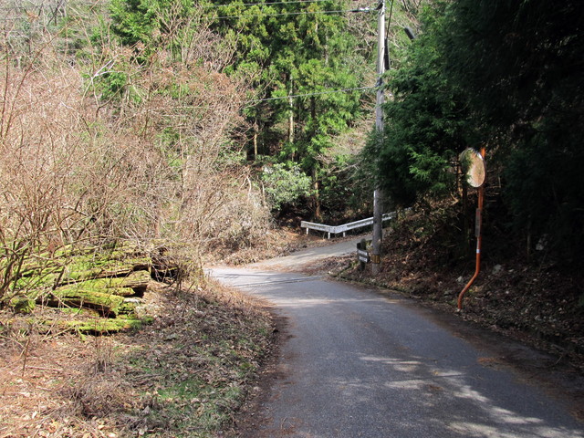 t13_098.jpg