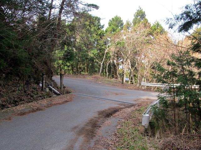 t13_101.jpg