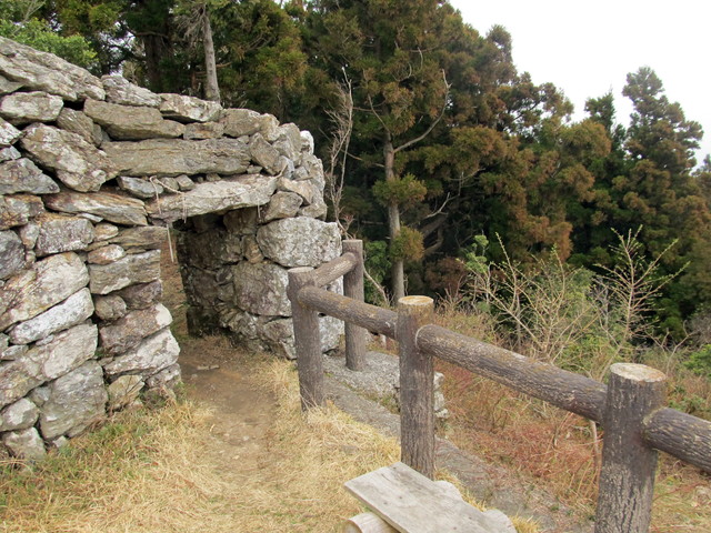 t13_105.jpg