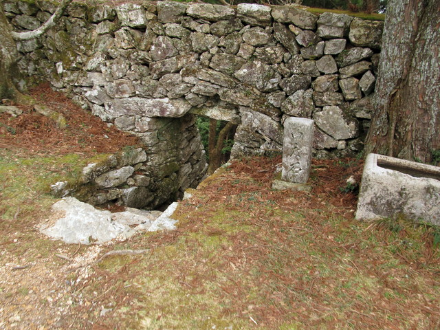 t13_106.jpg