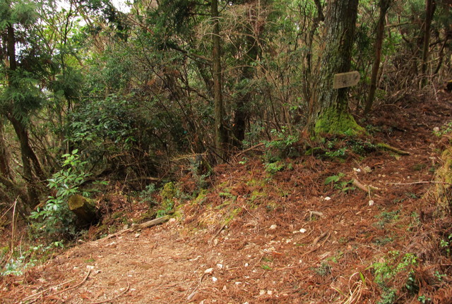 t13_109.jpg