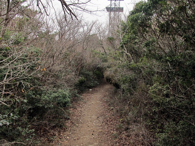 t13_112.jpg