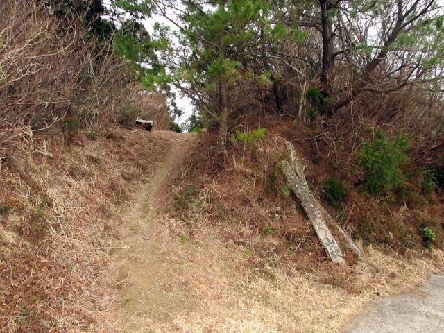 t13_121.jpg