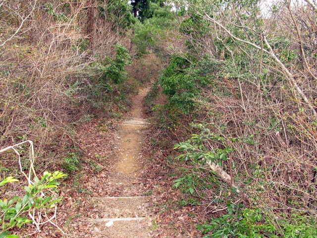 t13_123.jpg