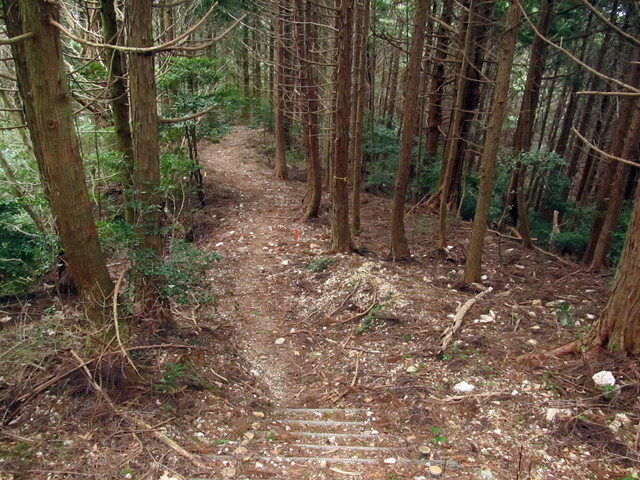 t13_128.jpg