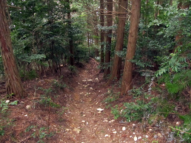 t13_132.jpg