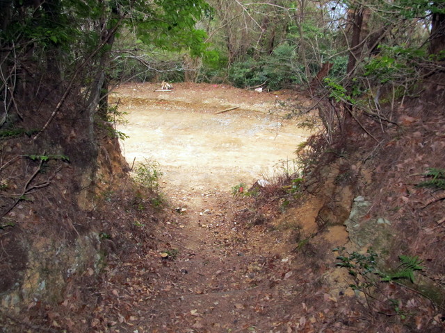 t13_136.jpg