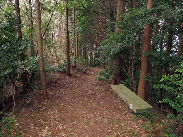t13_140.jpg