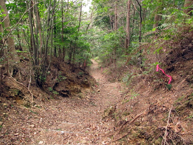 t13_150.jpg