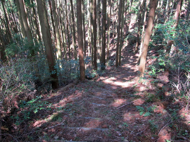 t13_159.jpg