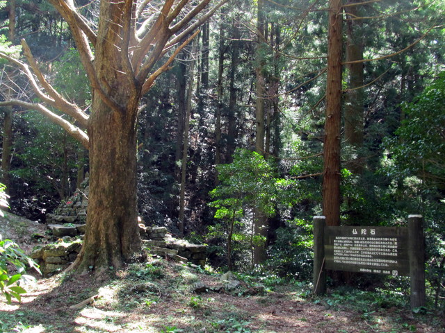 t13_165.jpg