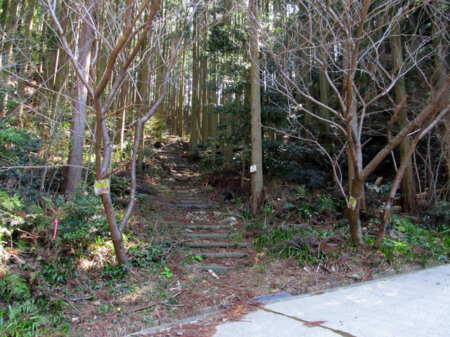 t13_171.jpg