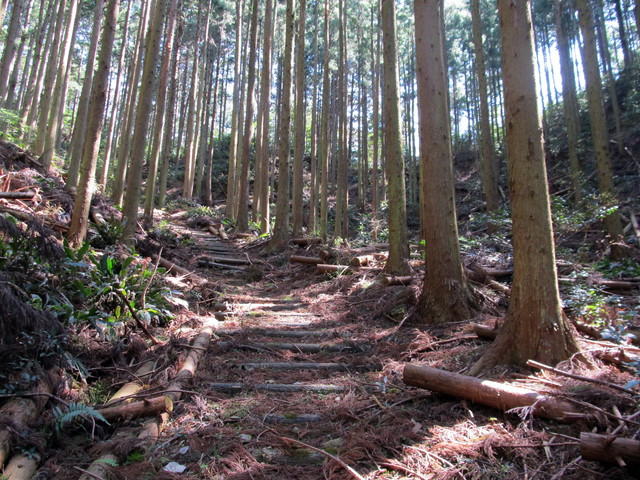 t13_172.jpg