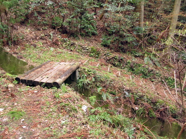 t13_182.jpg