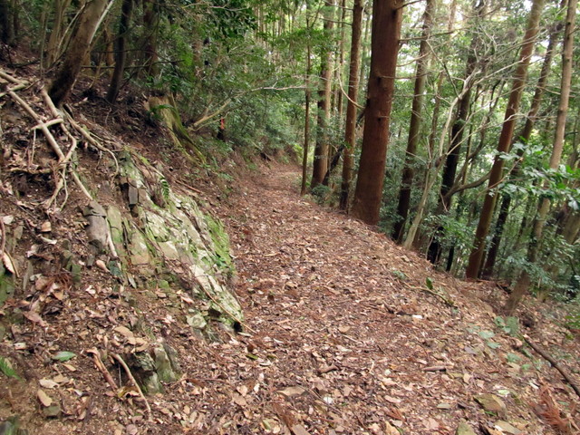 t13_186.jpg