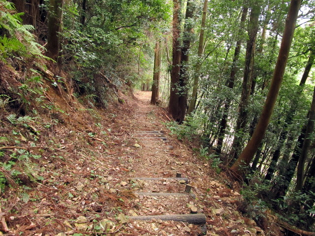 t13_187.jpg