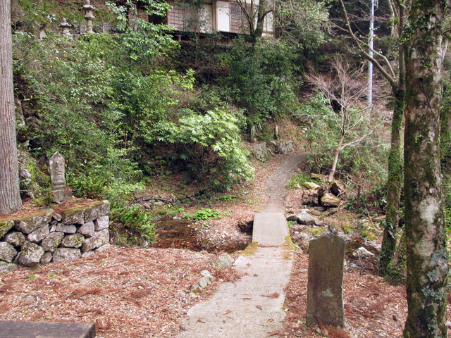 t13_192.jpg
