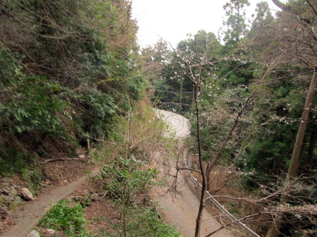 t13_197.jpg
