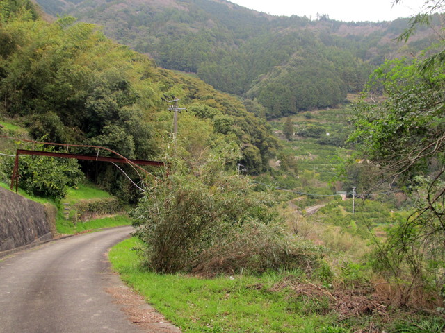 t13_202.jpg