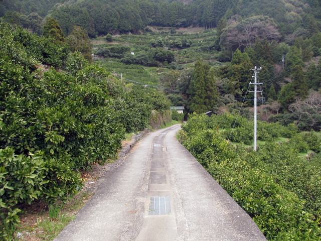 t13_204.jpg