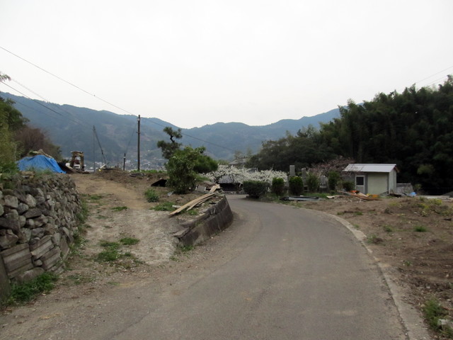 t13_219.jpg