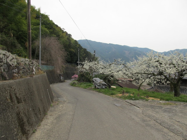 t13_220.jpg