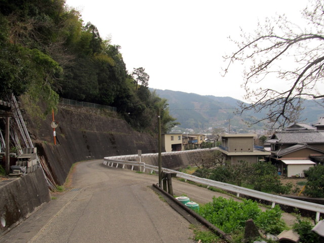 t13_221.jpg