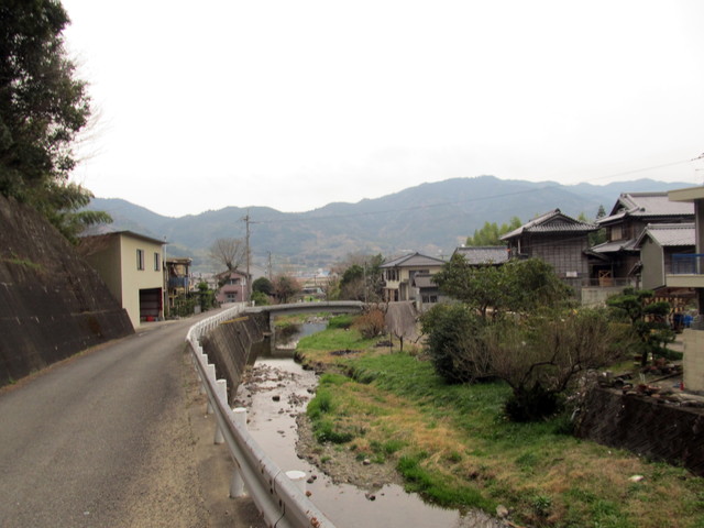 t13_222.jpg