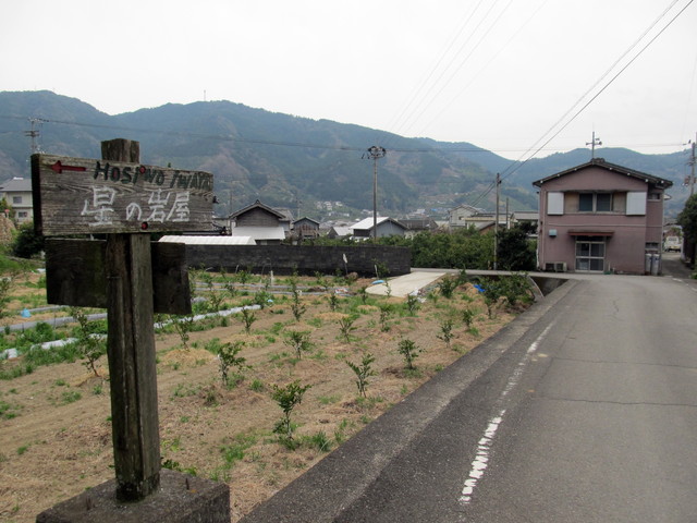 t13_223.jpg
